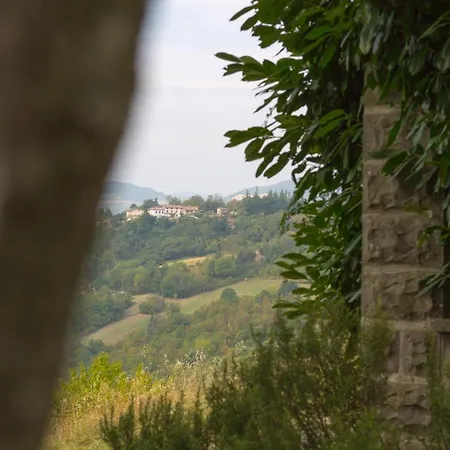 Granelli Salsomaggiore Terme