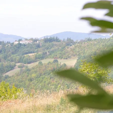 Granelli Salsomaggiore Terme